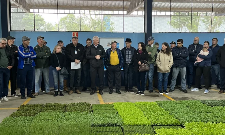 Mudas para produtores rurais